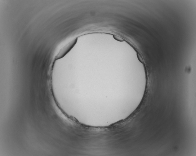 X0000112361528200909241113