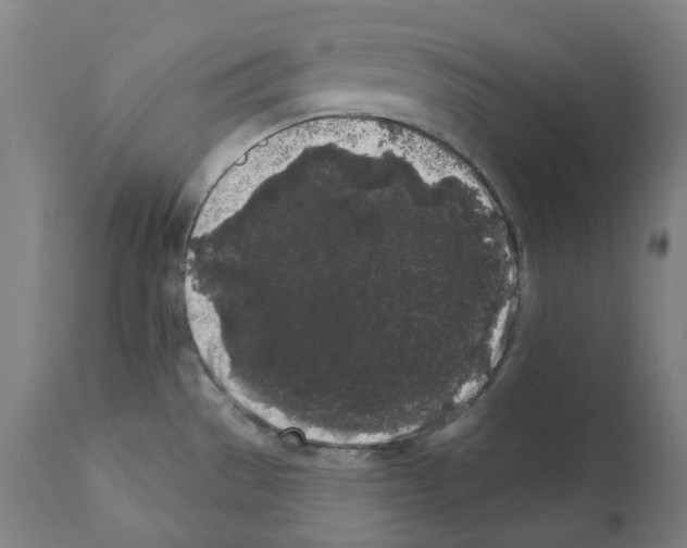 X0000112361529200909241113