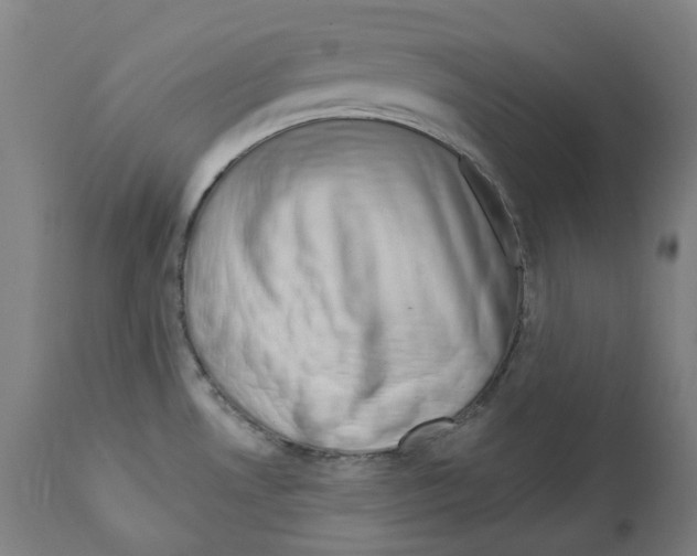 X0000112361530200909241113