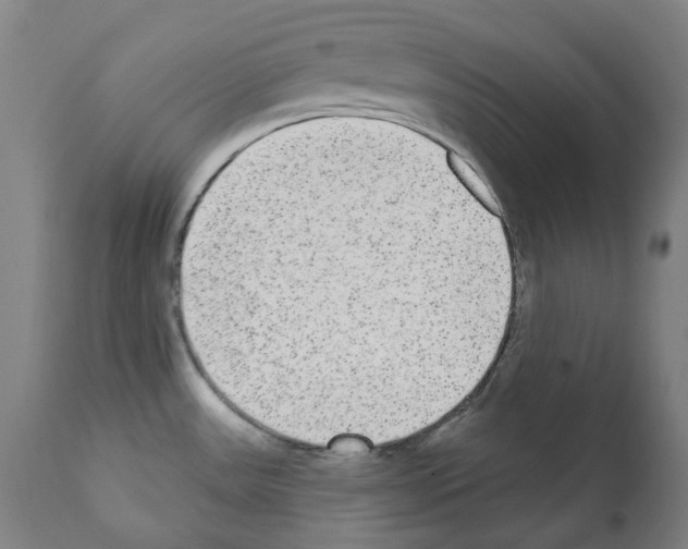 X0000112361531200909241113