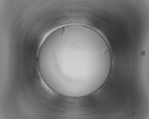 X0000112361532200909241113