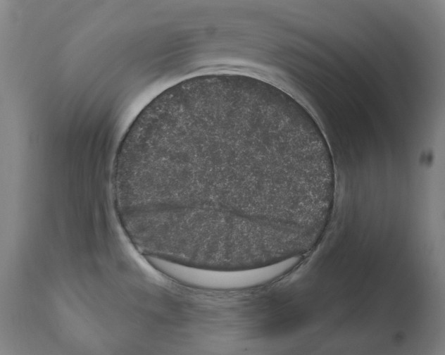 X0000112361533200909241113