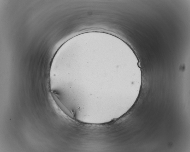 X0000112361534200909241113