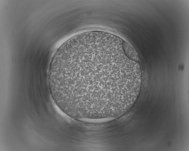 X0000112361535200909241113