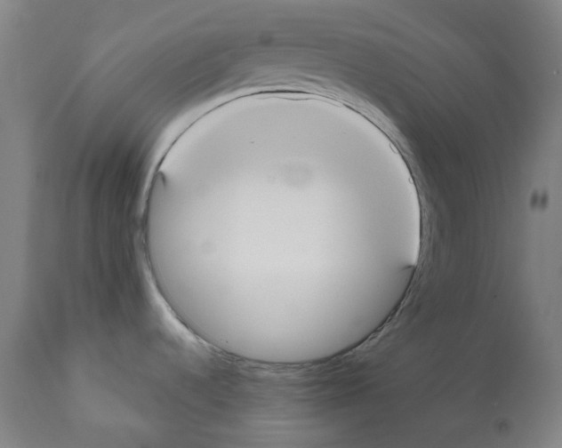 X0000112361536200909241113