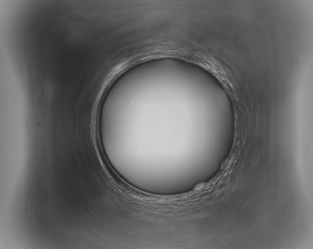 X0000112370003200908131303