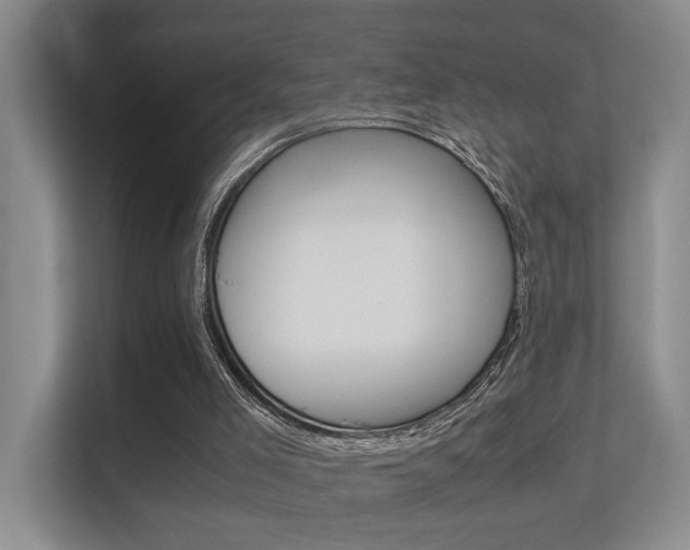 X0000112370005200908131303
