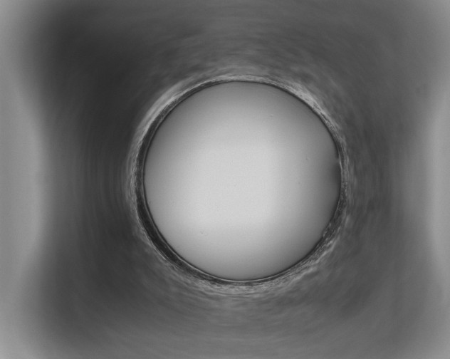 X0000112370007200908131303