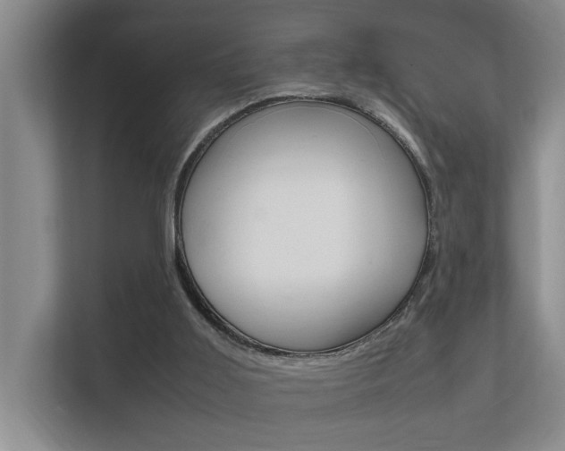X0000112370011200908131303