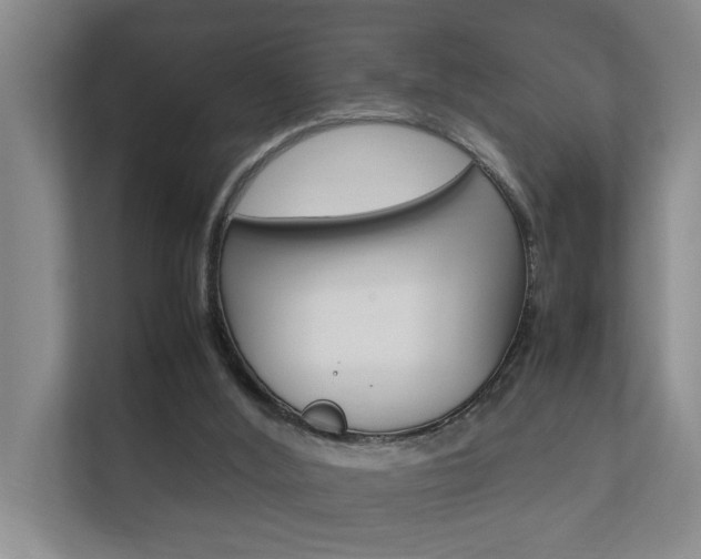 X0000112370012200908131303