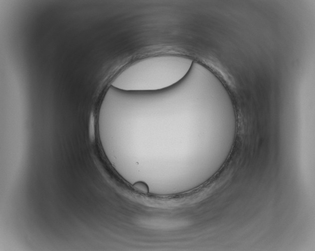 X0000112370014200908131303