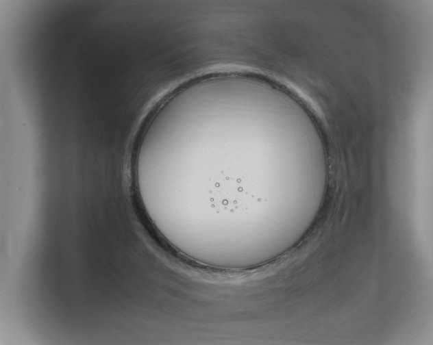X0000112370015200908131303