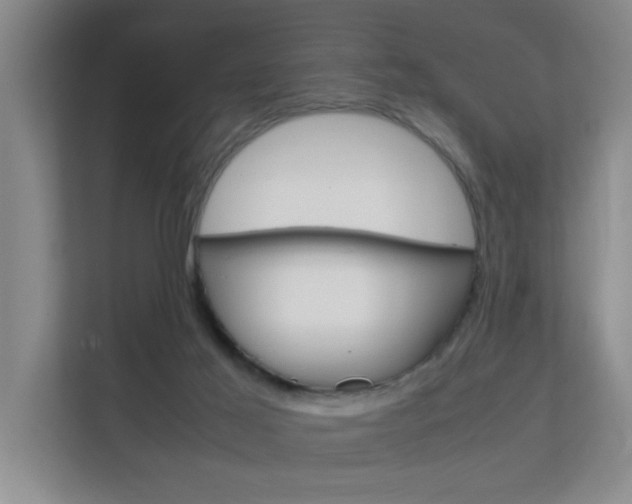 X0000112370021200908131303