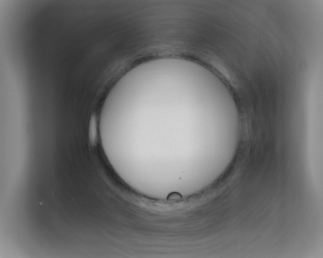 X0000112370022200908131303