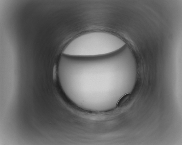 X0000112370024200908131303