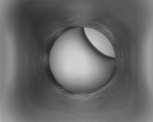 X0000112370029200908131303