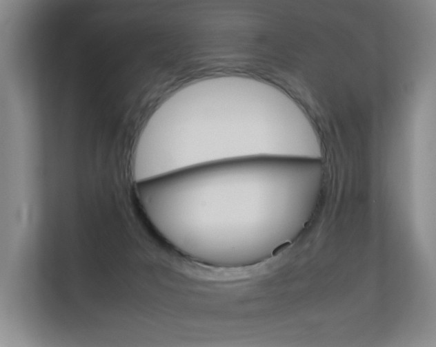 X0000112370031200908131303
