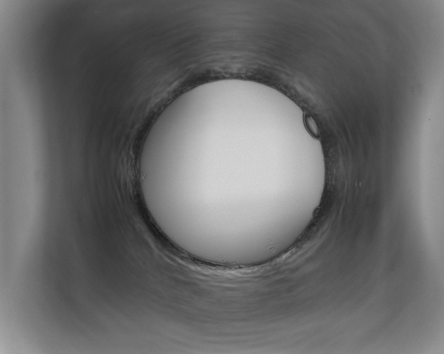 X0000112370040200908131303