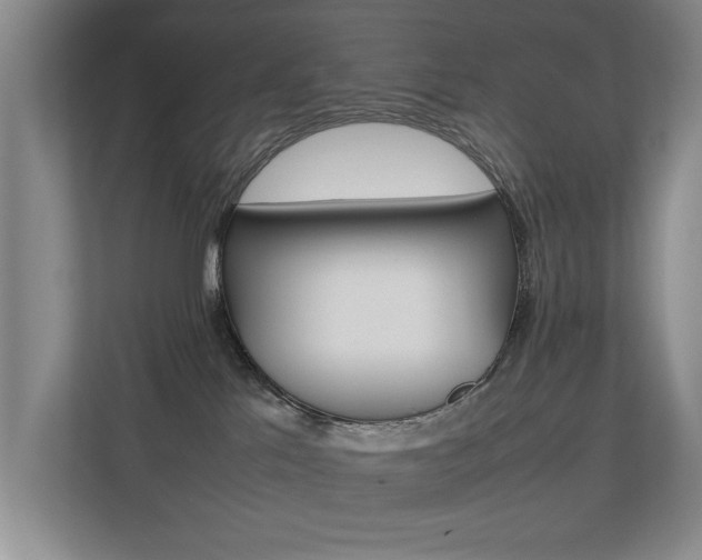 X0000112370041200908131303
