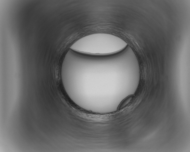 X0000112370044200908131303