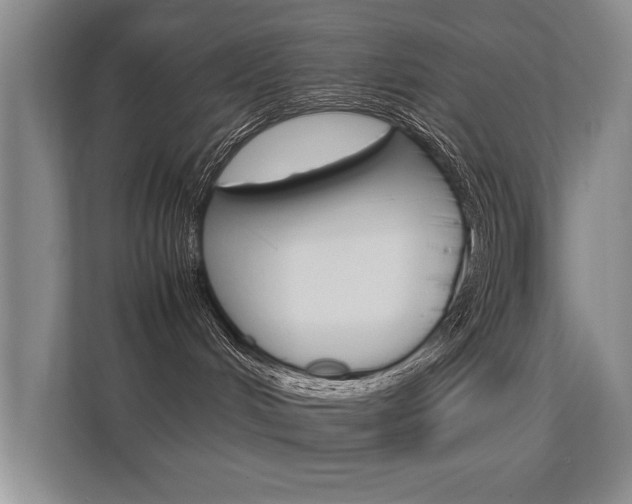 X0000112370048200908131303
