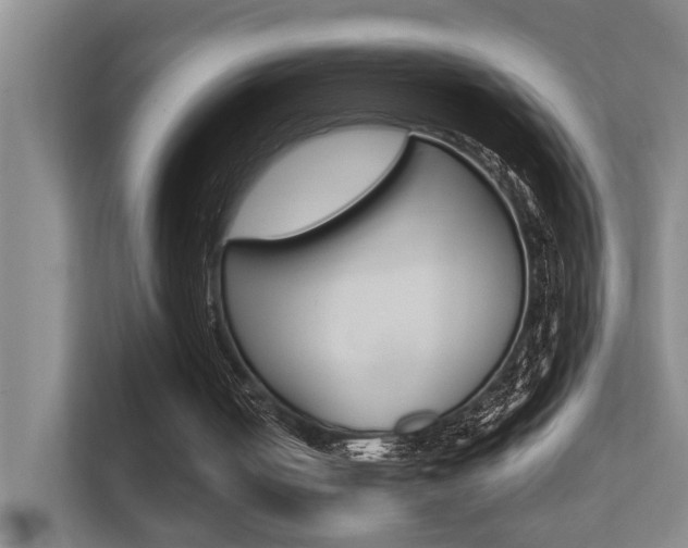 X0000112370050200908131302