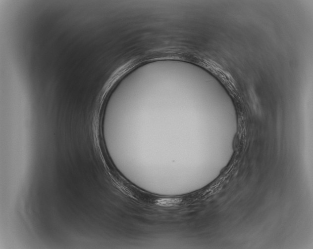 X0000112370051200908131302