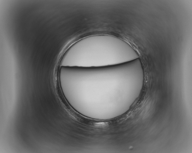 X0000112370053200908131302