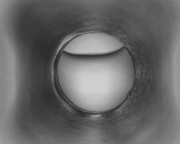 X0000112370054200908131302