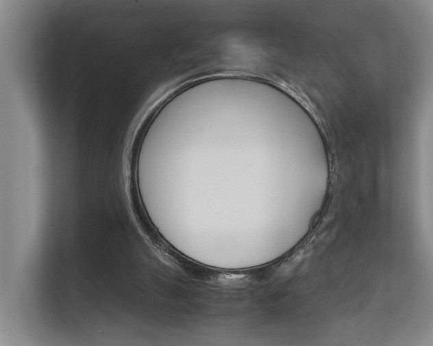 X0000112370055200908131302