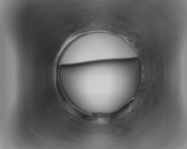 X0000112370056200908131302