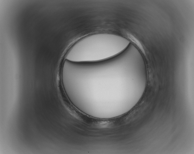X0000112370059200908131302