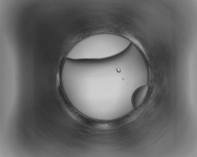 X0000112370061200908131302