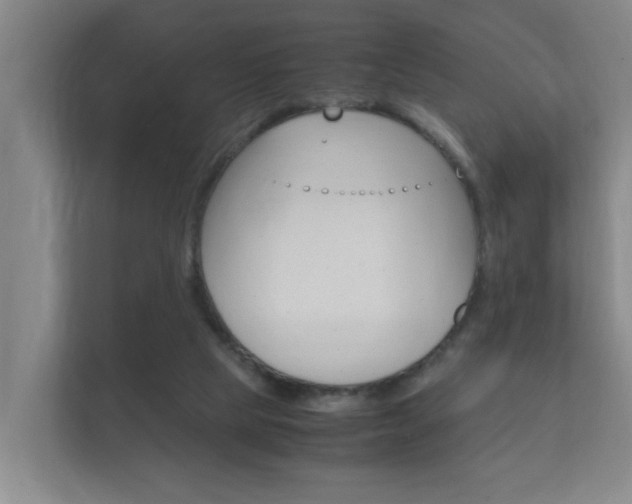 X0000112370065200908131302