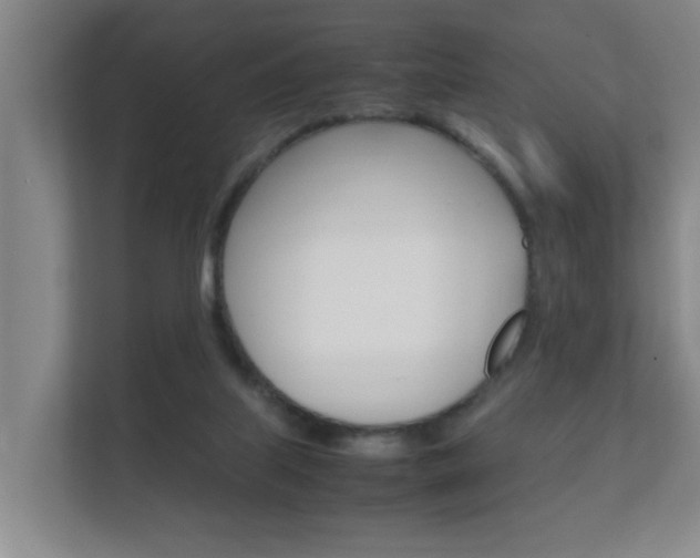 X0000112370067200908131302