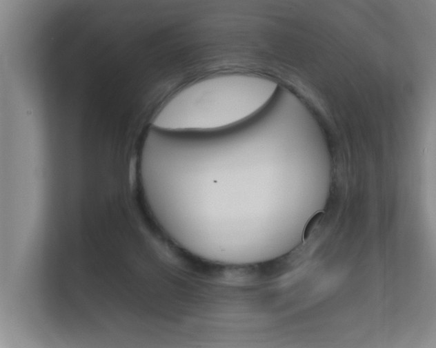 X0000112370070200908131303
