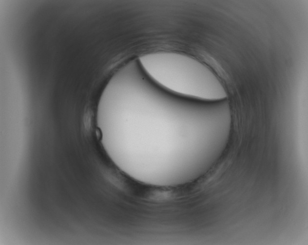 X0000112370071200908131303