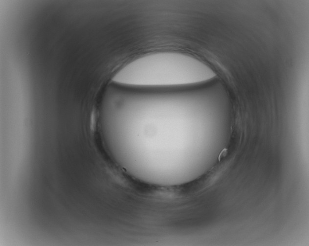 X0000112370076200908131303