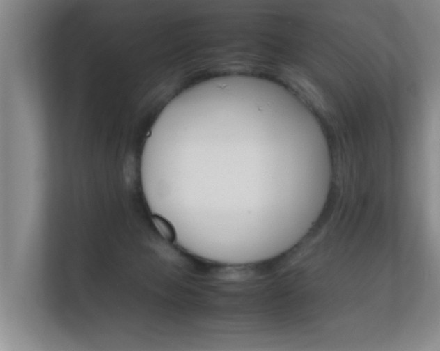 X0000112370077200908131303