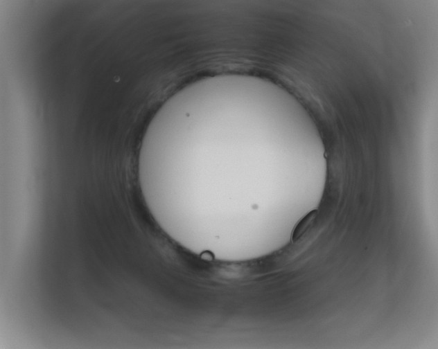 X0000112370079200908131303