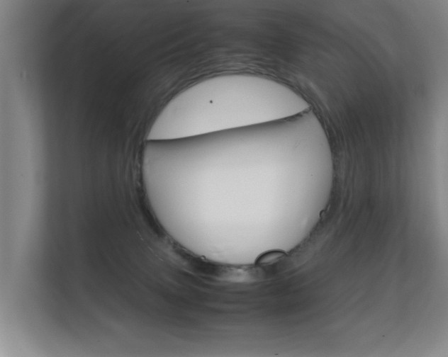 X0000112370083200908131303