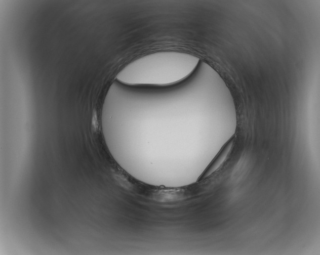 X0000112370089200908131303