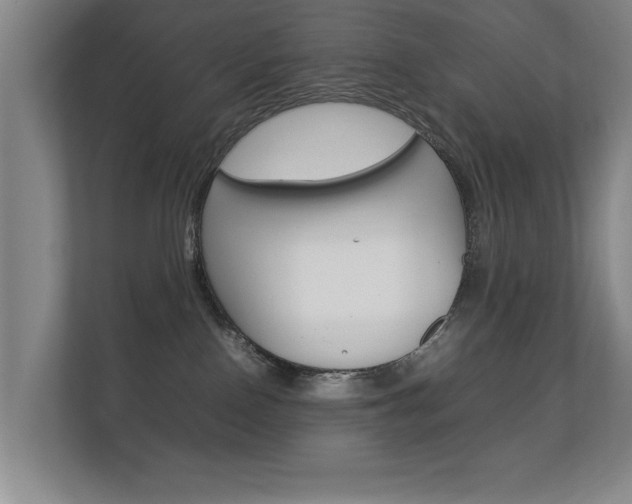 X0000112370090200908131303