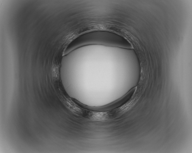 X0000112370096200908131303