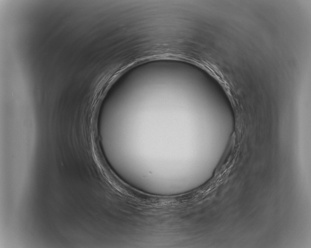 X0000112370097200908131302