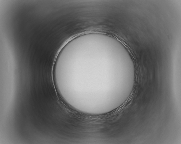 X0000112370100200908131302