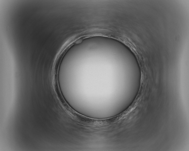 X0000112370101200908131302