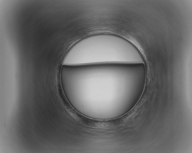 X0000112370105200908131302