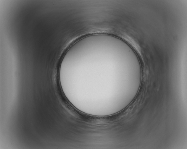 X0000112370107200908131302