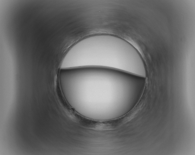 X0000112370109200908131302